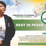 zindzi mandela burial