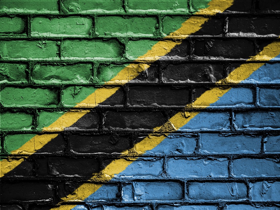 Tanzania Implements Strict Regulations on Foreign Currency Usage in Domestic Transactions