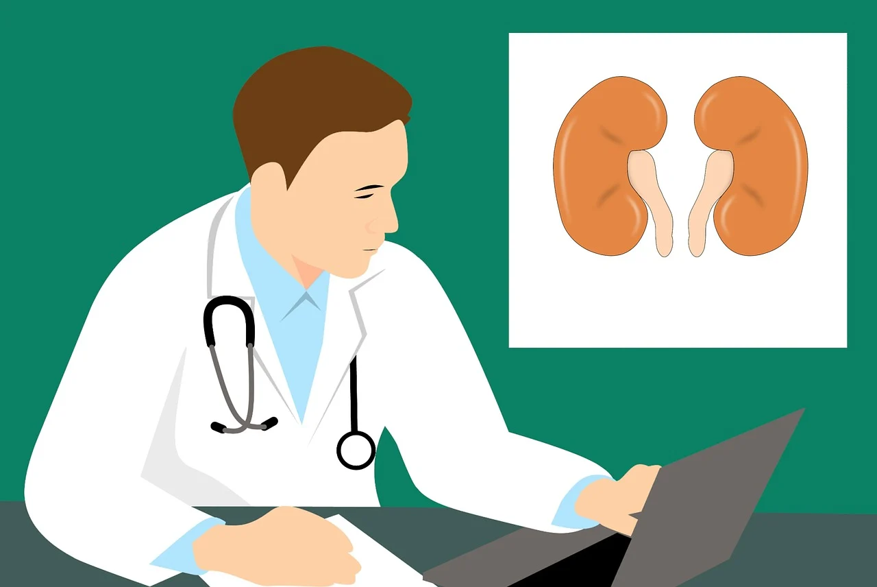 The kidney trade in Kenya