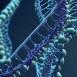 Can we slow aging?