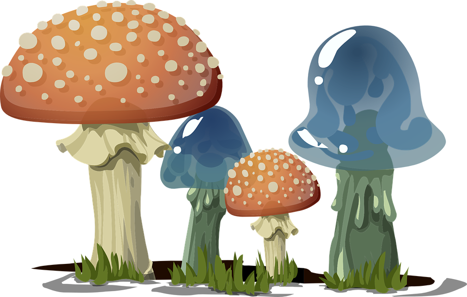 Mushroom farming in Kenya